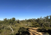 Terreno no urbanizable en venta en la España, Berrocal, ref: TR347703 foto
