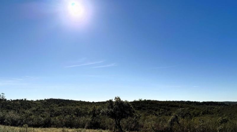 Segovia - Berrocal - 247704m2
