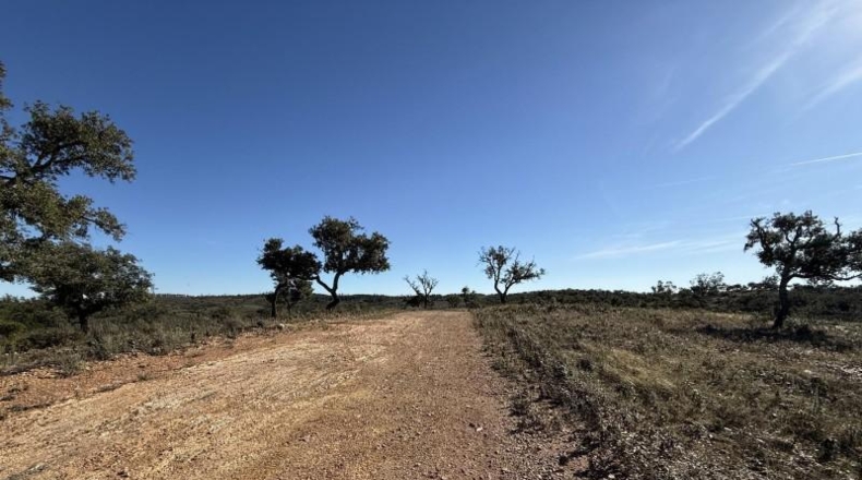 Segovia - Berrocal - 247704m2