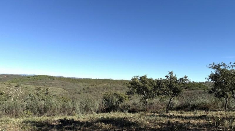 Segovia - Berrocal - 247704m2