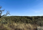 Terreno no urbanizable en venta en la España, Berrocal, ref: TR347703 foto