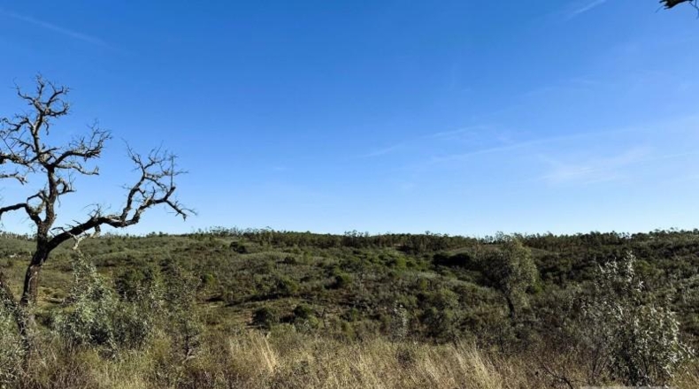Segovia - Berrocal - 247704m2