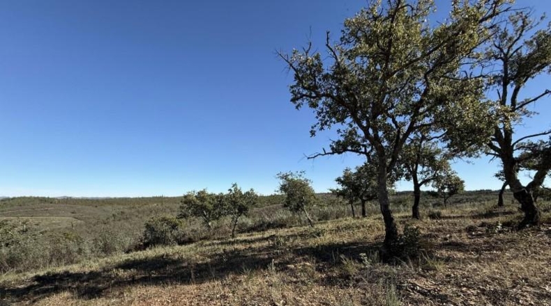 Segovia - Berrocal - 247704m2
