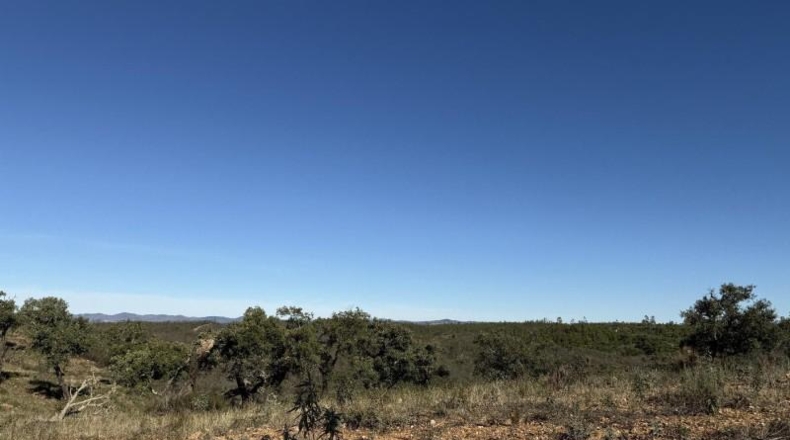 Segovia - Berrocal - 247704m2