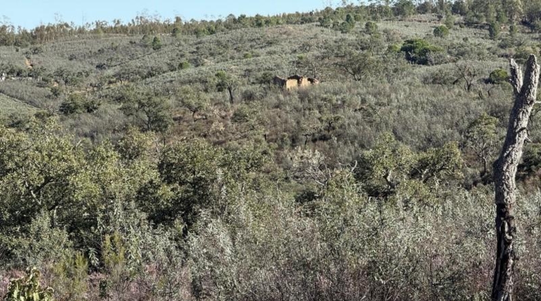 Segovia - Berrocal - 247704m2