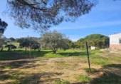 Xalet independent amb terreny en venda a la España, Gibraleón, ref.: TR377795 foto