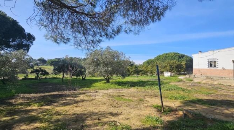 Huelva - Gibraleón - 7424m2