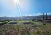 Land suitable for development for sale on España, Montferrer, ref: TR395480 photo