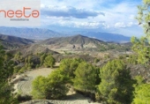 Casa de campo con terreno en venta en la España, Lorca, ref: TR152579 foto