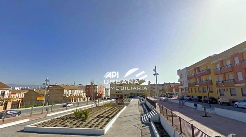 Córdoba - Lucena - 1905m2