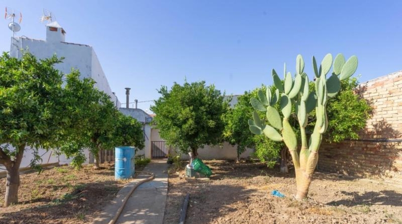 Малага - Alhaurín el Grande - 500m2