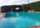 Chalet independiente con terreno en venta en la España, Picassent, ref: TR162355 foto