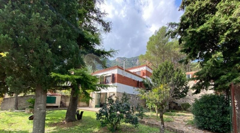 Alicante - Dolores - 900m2