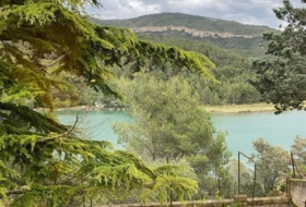Rossell 900&nbsp;m² 