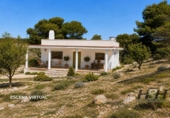 Xalet independent amb terreny en venda a la España, Godelleta, ref.: TR408616 foto