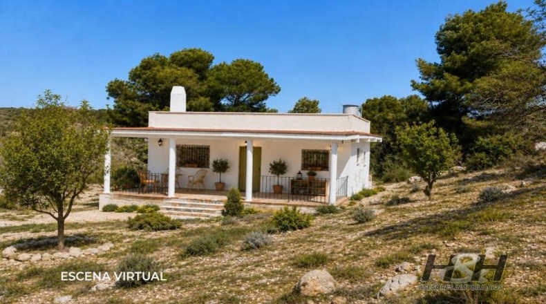 València - Godelleta - 1189m2