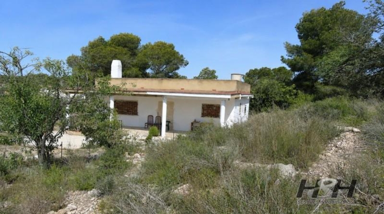 València - Godelleta - 1189m2