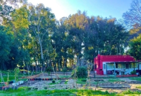 Foto 8