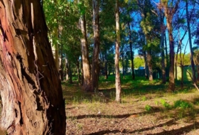 Foto 10