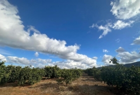 Foto 18