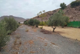 Águilas 18000&nbsp;m²