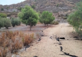 Country house with land for sale on España, Águilas, ref: TR379208 photo
