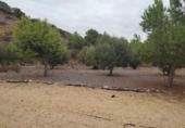 Country house with land for sale on España, Águilas, ref: TR379208 photo