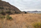 Country house with land for sale on España, Águilas, ref: TR379208 photo