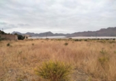 Country house with land for sale on España, Águilas, ref: TR379208 photo