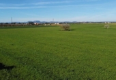 Terreno no urbanizable en venta en la España, Campos, ref: TR388769 foto