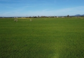 Terreno no urbanizable en venta en la España, Campos, ref: TR388769 foto