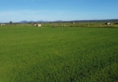 Terreno no urbanizable en venta en la España, Campos, ref: TR388769 foto