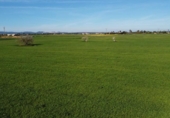 Terreno no urbanizable en venta en la España, Campos, ref: TR388769 foto