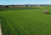 Terreno no urbanizable en venta en la España, Campos, ref: TR388769 foto