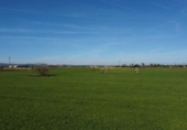 Terreno no urbanizable en venta en la España, Campos, ref: TR388769 foto