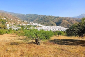 Foto 16