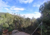 Chalet independiente con terreno en venta en la España, Oliva, ref: TR380186 foto