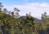 Chalet independiente con terreno en venta en la España, Oliva, ref: TR380186 foto