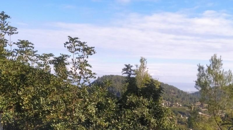València - Oliva - 1200m2