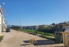 Foto 12