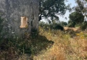 Terreno no urbanizable en venta en la España, Vejer de la Frontera, ref: TR395479 foto
