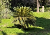 Sòl urbà en venda a la España, Còrdova, ref.: TR409768 foto