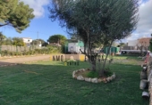 Parcel·la urbanitzable en venda a la España, Ciutadella de Menorca, ref.: TR314234 foto