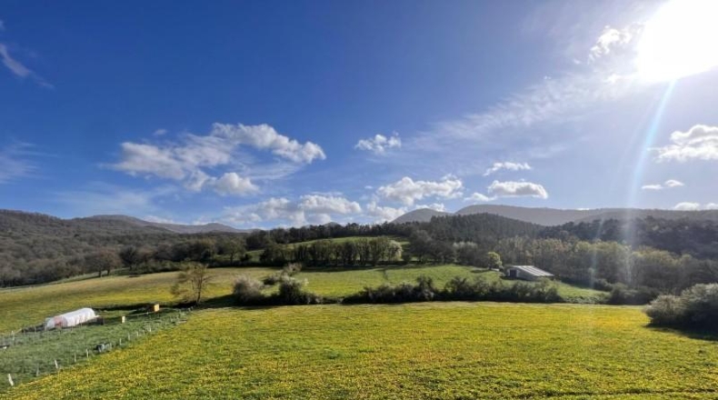 Navarra - Esáin - 824m2