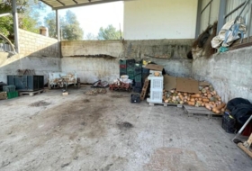 Foto 14
