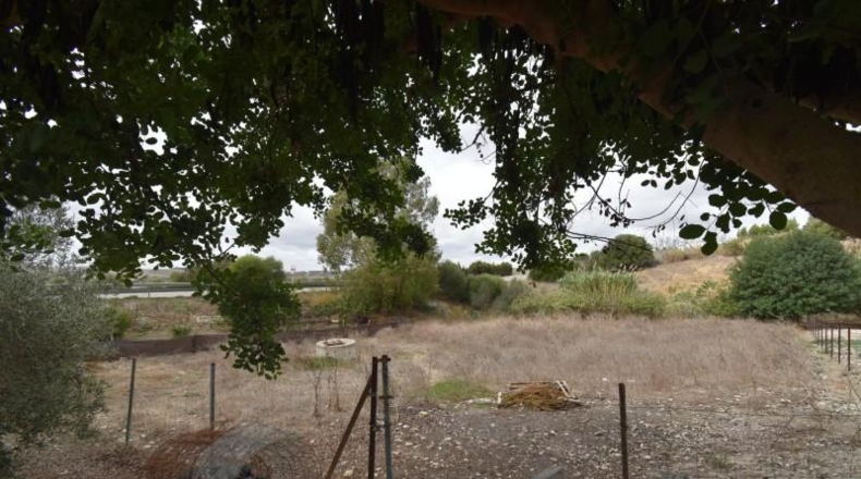 Cadiz - Medina Sidonia - 2500m2