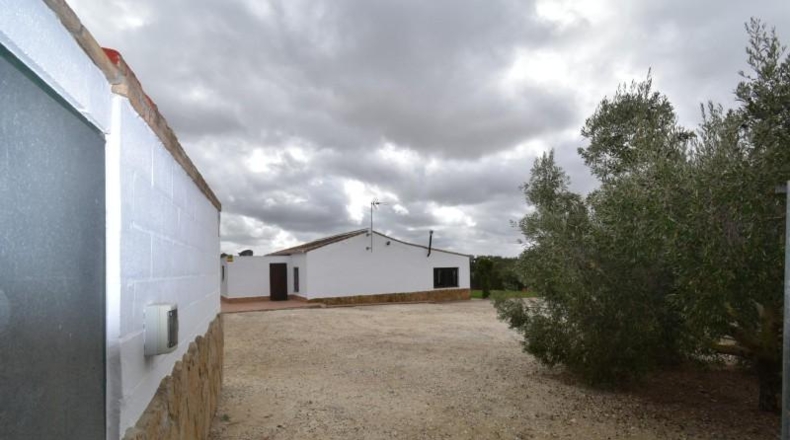 Cadiz - Medina Sidonia - 2500m2