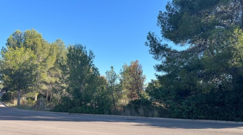 València - San Antonio de Benagéber - 1000m2