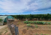Chalet independiente con terreno en venta en la España, Benimuslem, ref: TR328854 foto