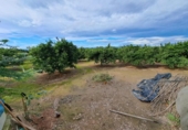 Chalet independiente con terreno en venta en la España, Benimuslem, ref: TR328854 foto
